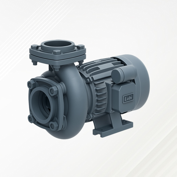 Lubi Centrifugal Monoblock Pumpsets